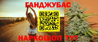 гашик Аргун