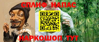 гашик Аргун