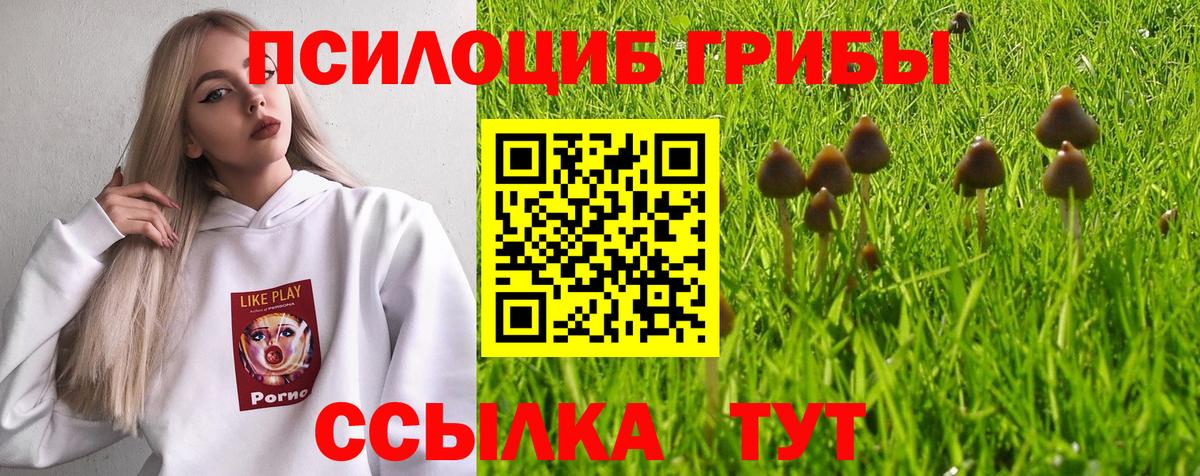 Вязьма  Псилоцибиновые грибы Magic Shrooms  Вход с VPN  Галлюциногенные грибы ЛСД 