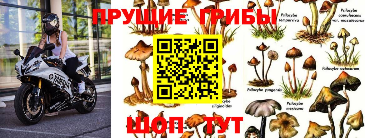 Галлюциногенные грибы мухоморы Вязьма